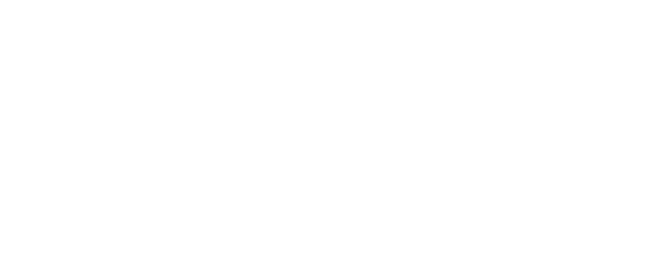bt-tours-logo-trans