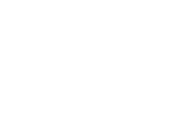 logo csd-1